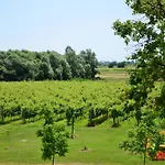 La Di Anselmi *
