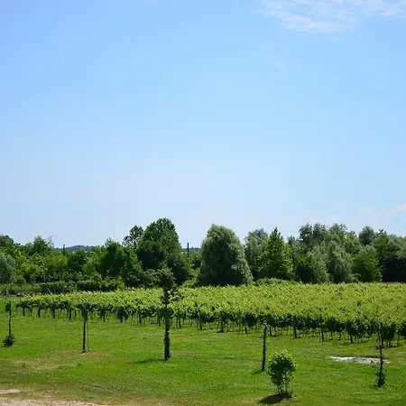 La Di Anselmi Farma *