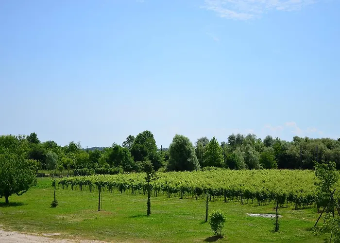 La Di Anselmi Farmház *